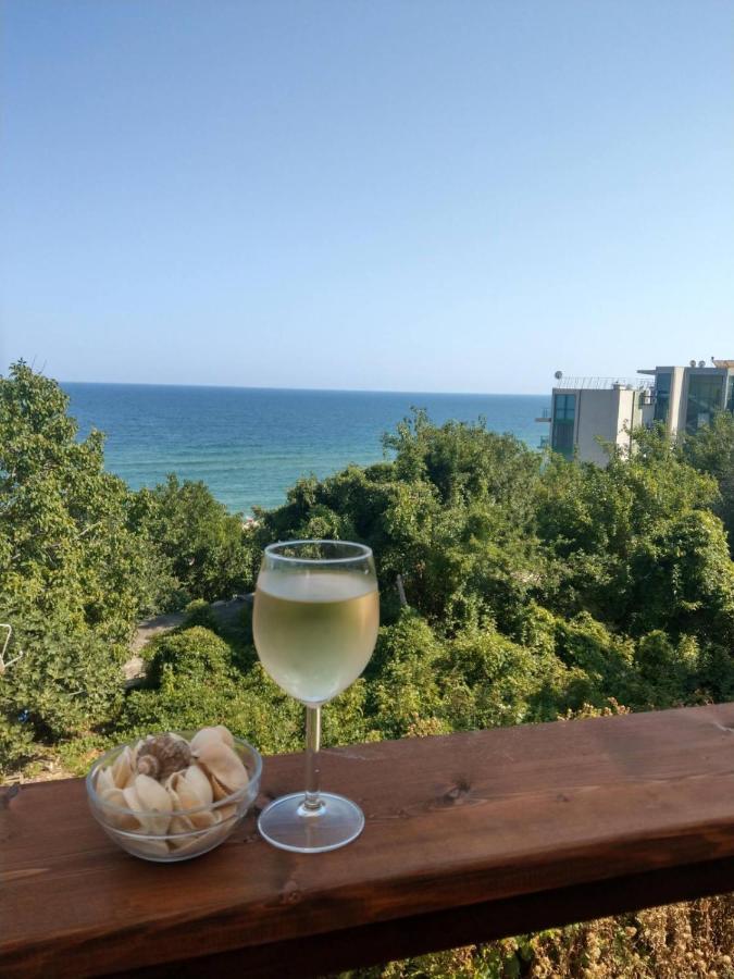 свети йоан кръстител Vilă *