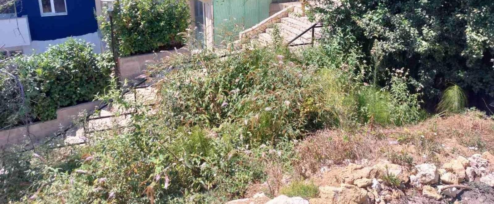 свети йоан кръстител Vilă Varna